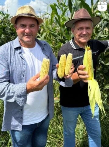 Prefeitura vai pagar R$ 557 mil em shows na Festa do Milho Verde