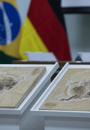 Brasil quer recuperar dinossauros e patrimônios que estão em 14 países
