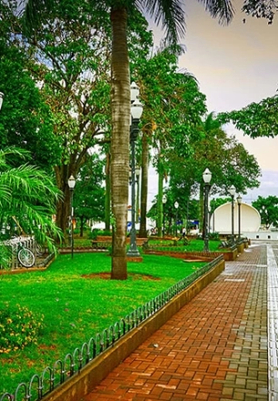 Estado de São Paulo tem as cidades mais arborizadas do país; veja quais