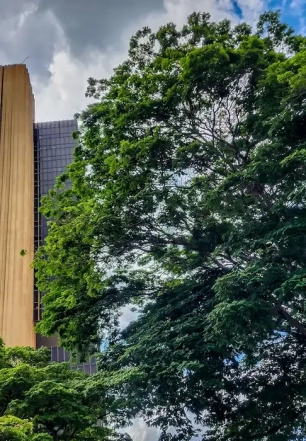 Ferramenta do BC permite bloquear abertura de contas falsas em bancos