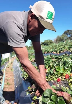 Saiba como vender produção rural a órgãos públicos