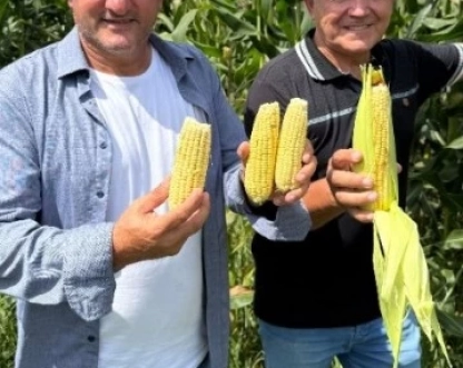 Prefeitura vai pagar R$ 557 mil em shows na Festa do Milho Verde