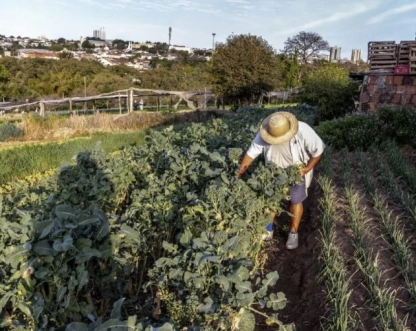 SP anuncia chamamento de 37 novos pesquisadores do agro, primeira contratação em 20 anos