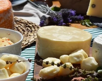 Turismo rural avança com premiação internacional de queijos paulistas