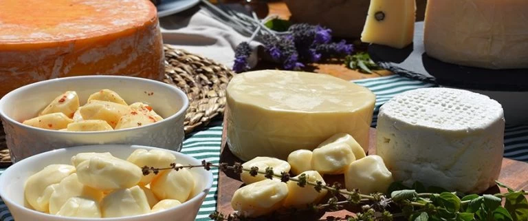 Turismo rural avança com premiação internacional de queijos paulistas